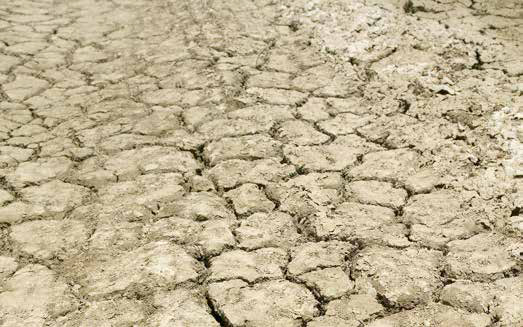 Drought impact on crops